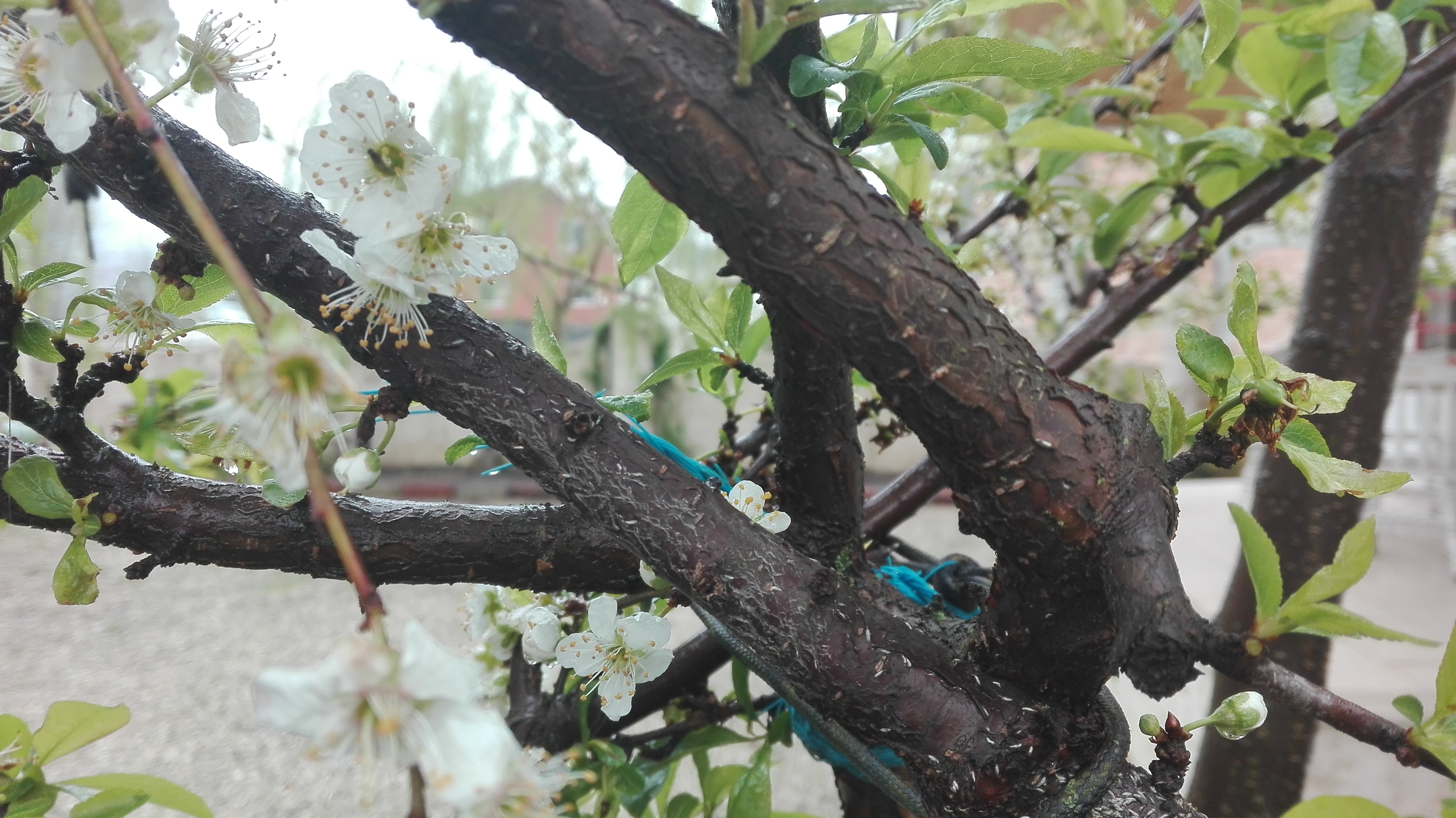 نوشهر - فروردین ۱۳۹۵