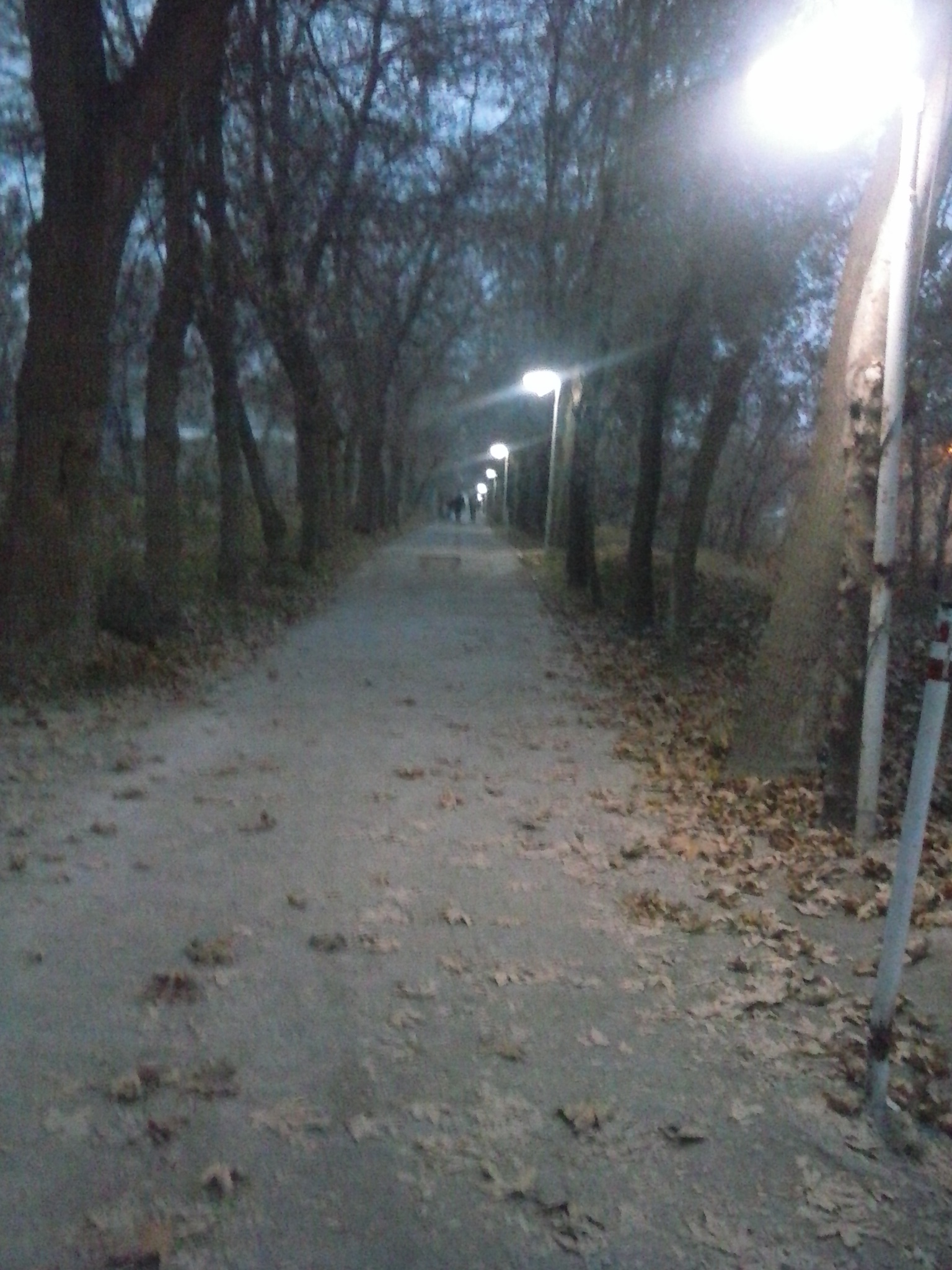 نازلو، ارومیه - ۱۳۹۳