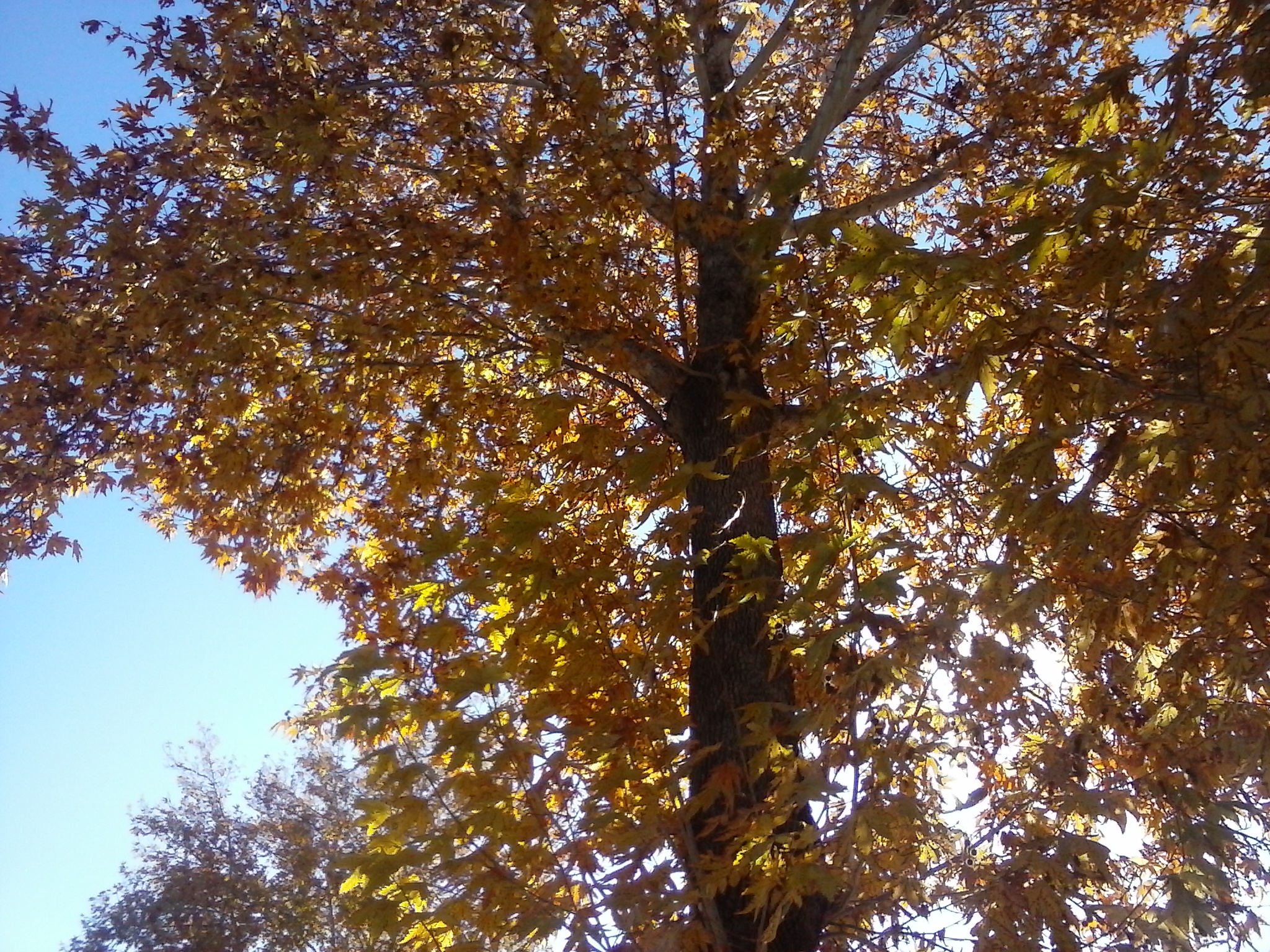 ارومیه - آبان ۱۳۹۵