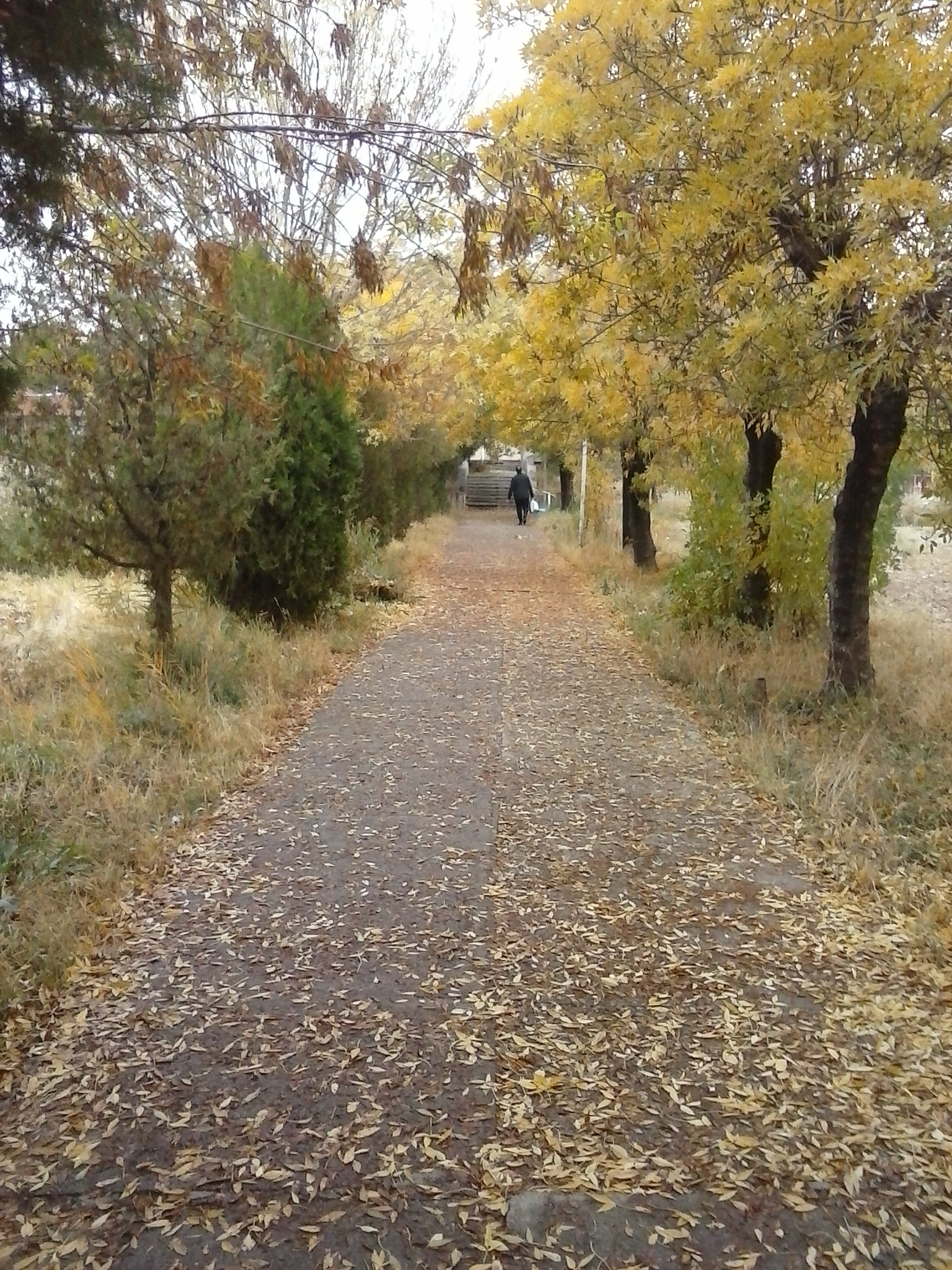 ارومیه / نازلو - پاییز ۱۳۹۴