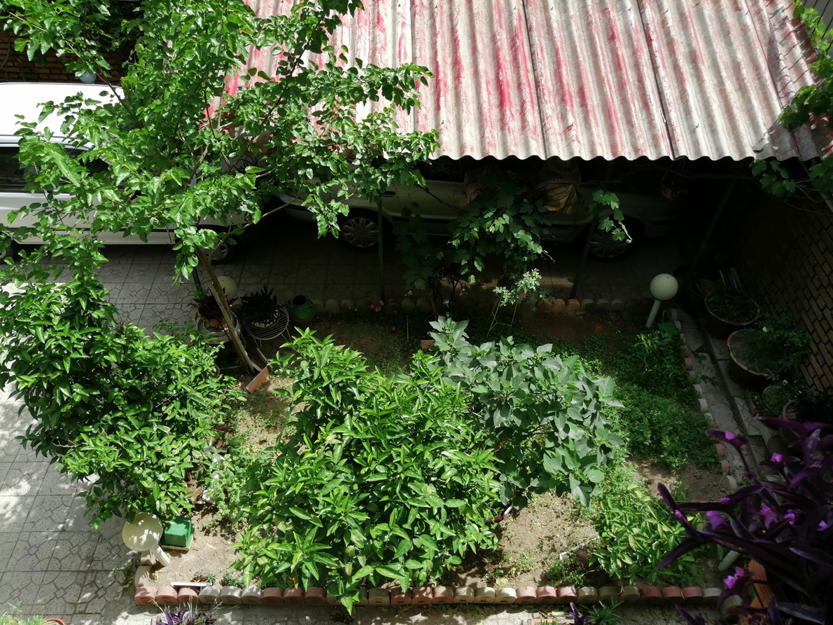 حیاط مادربزرگ - ۱۳۹۸