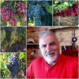 جایگاه گردشگری کشاورزی در توسعه روستایی