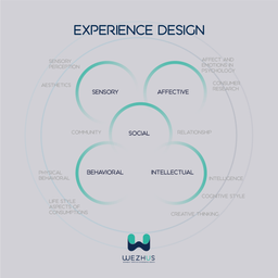 چهل تکهٔ تجربه