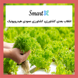 انقلاب بعدی کشاورزی: کشاورزی عمودی هیدروپونیک