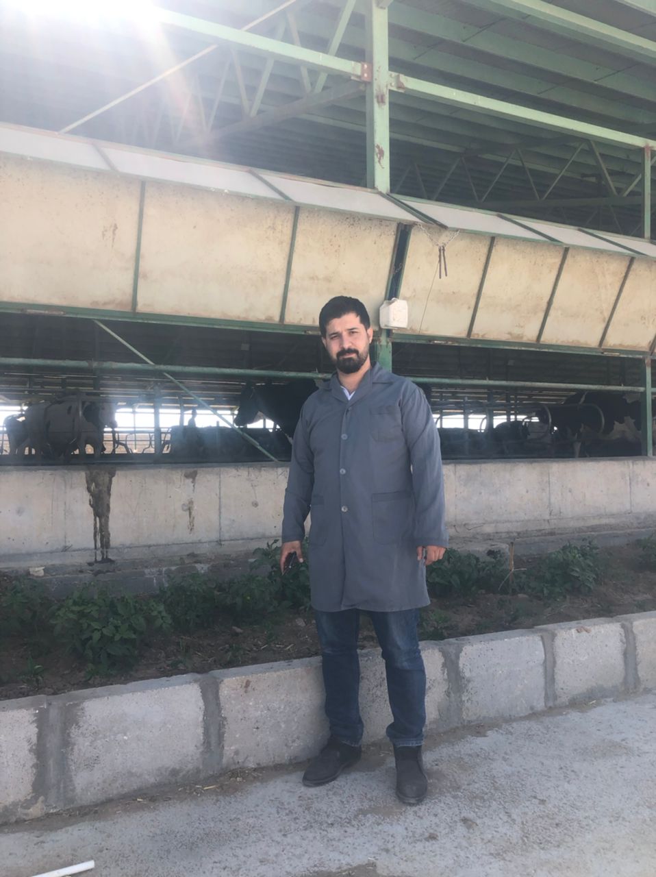 بازدید از واحد صنعتی دامداری شیری دشت کیمیا در چادگان اصفهان و بررسی اثرات مکمل‌های پودر چربی در دام شیری