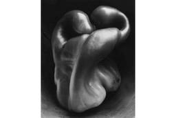 ادوارد وستون و داستان فلفلی که عکاسی را هنر نامید