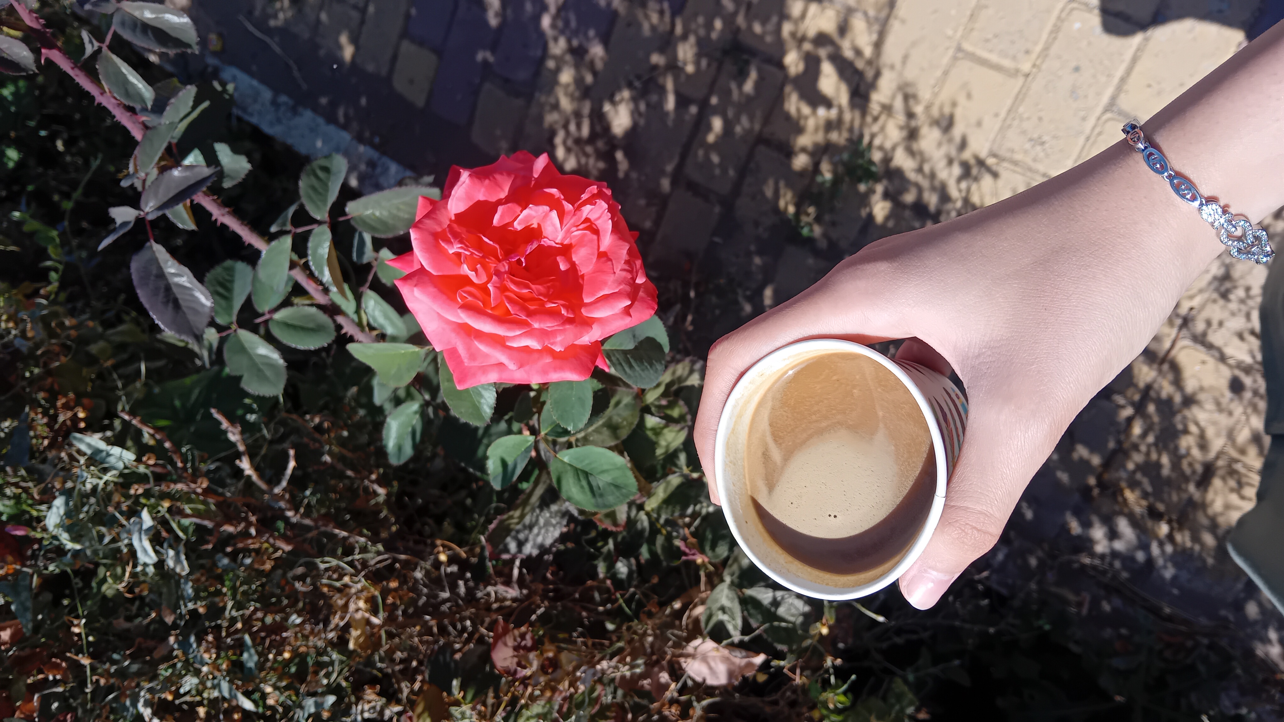 خودمو به اولین نسکافه‌ی پاییزم دعوت کردم🙂‍↔️☕️