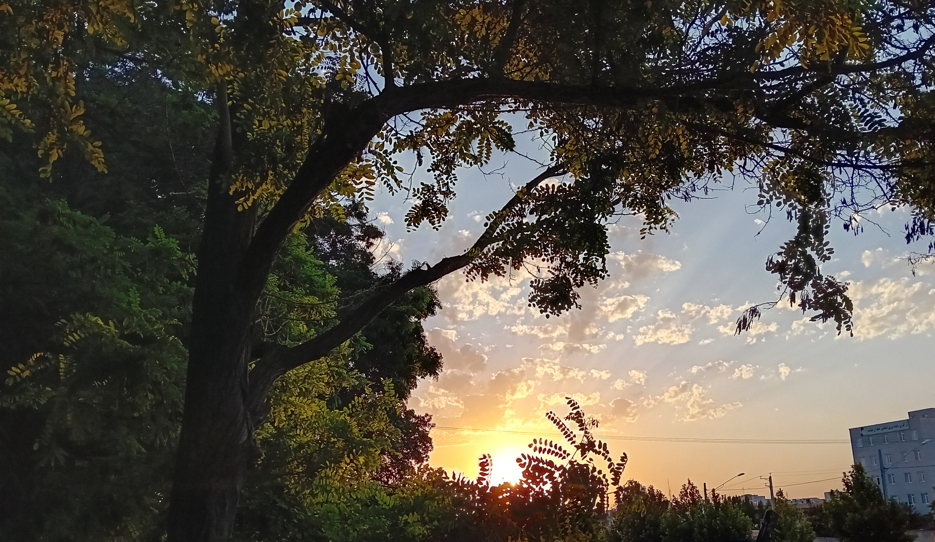 آن سوی دیگرِ ماجرا