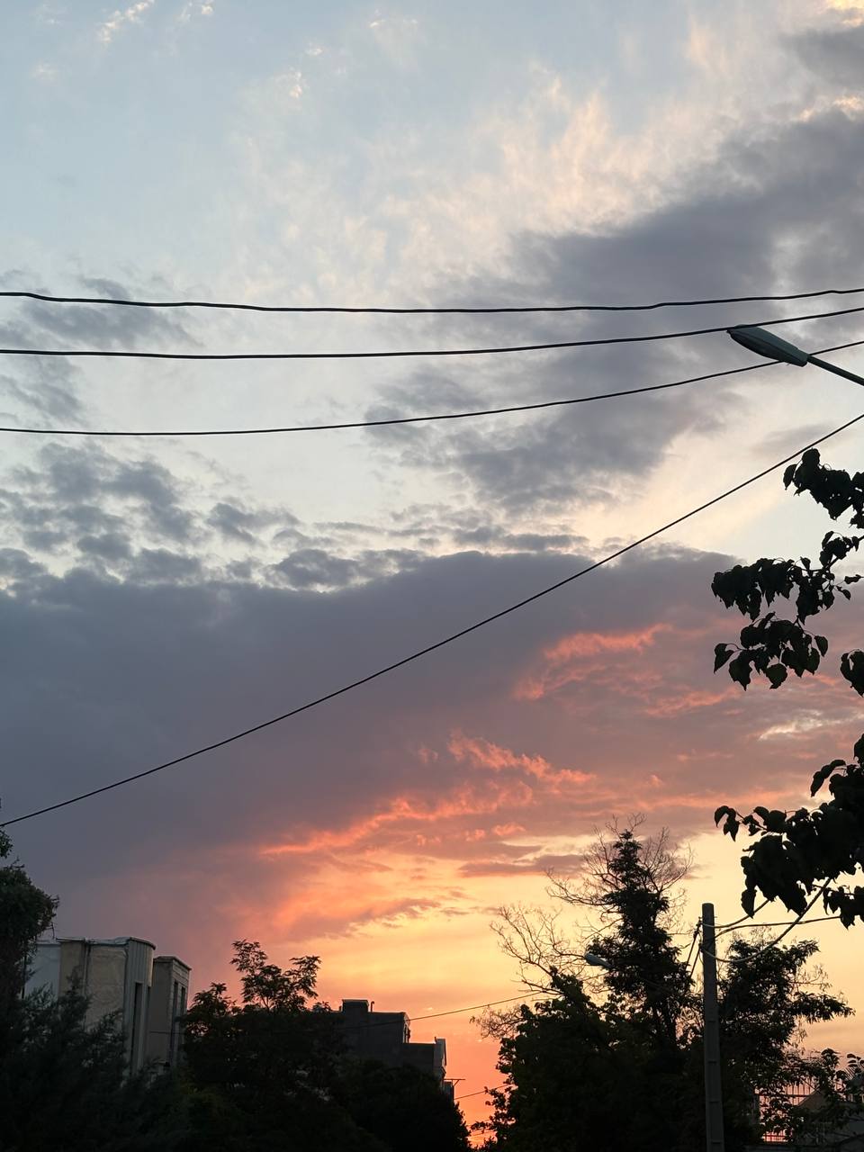 اینا رو ثمین خوشگلم برام گرفته:)