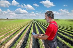 آنچه که باید تمام کارجویان در رابطه با بازار کار و استخدام مهندس کشاورزی بدانند