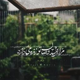 آبی تر از آنم که بی رنگ بمیرم