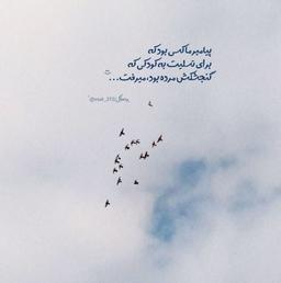 فحش خوردی؟ نوش جانت!