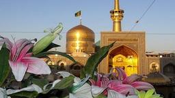 حرم مطهر؛ آماده نمازگزاران و زائران