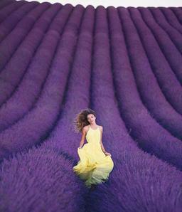 خیال امن ترین جای جهان است!