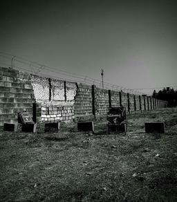 صداقت تردید