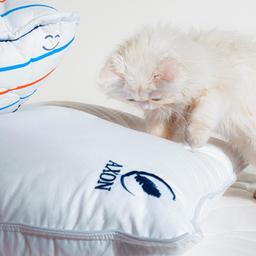 برای عکاسی صنعتی و تجاری چه کار کنیم؟