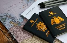 انواع تابعیت