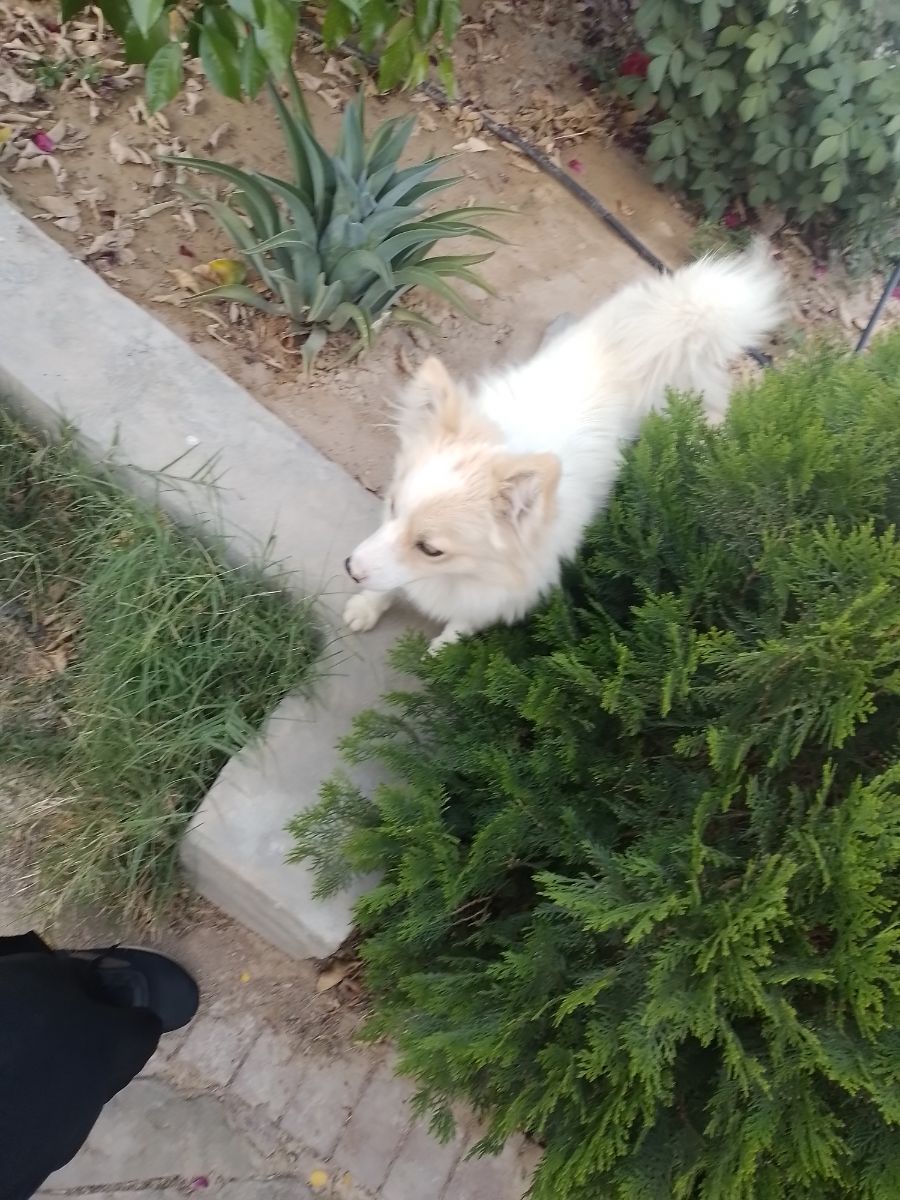 از این ترسیدم...خخخ