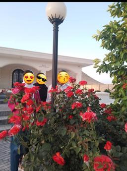 صفای اون باغ رو فراموش کردم دیگه...