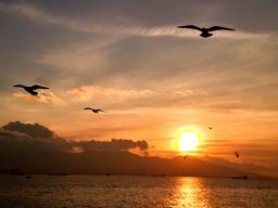 ازمیر چه جور شهریه؟!