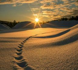 در ماندن می پوسی