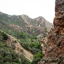 ریجاب، سرپل ذهاب