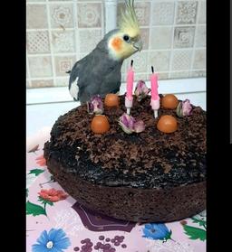 تولد فندق قسمت ۶