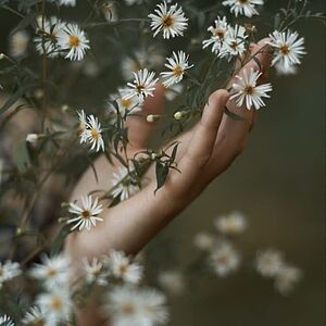 نور محض