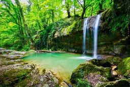 جنگل لفور بابل | آدرس | جاهای دیدنی