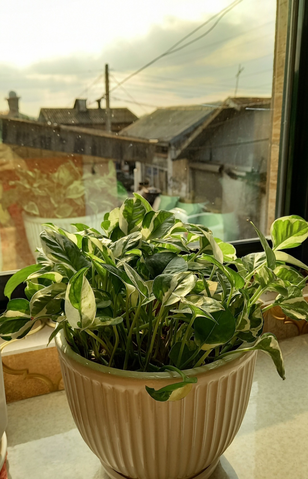 پنجره کذایی آشپزخانه:)