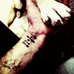 این یک نوشته عاقلانه یا شعری نبود...