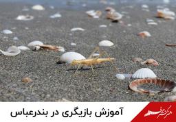 کلاس بازیگری در بندرعباس