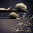 مهدی پاک نیت
