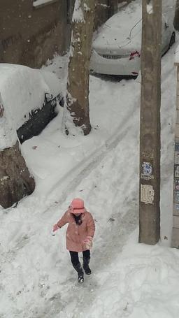 نونِ خشکی‌ها کجا رفته‌اند
