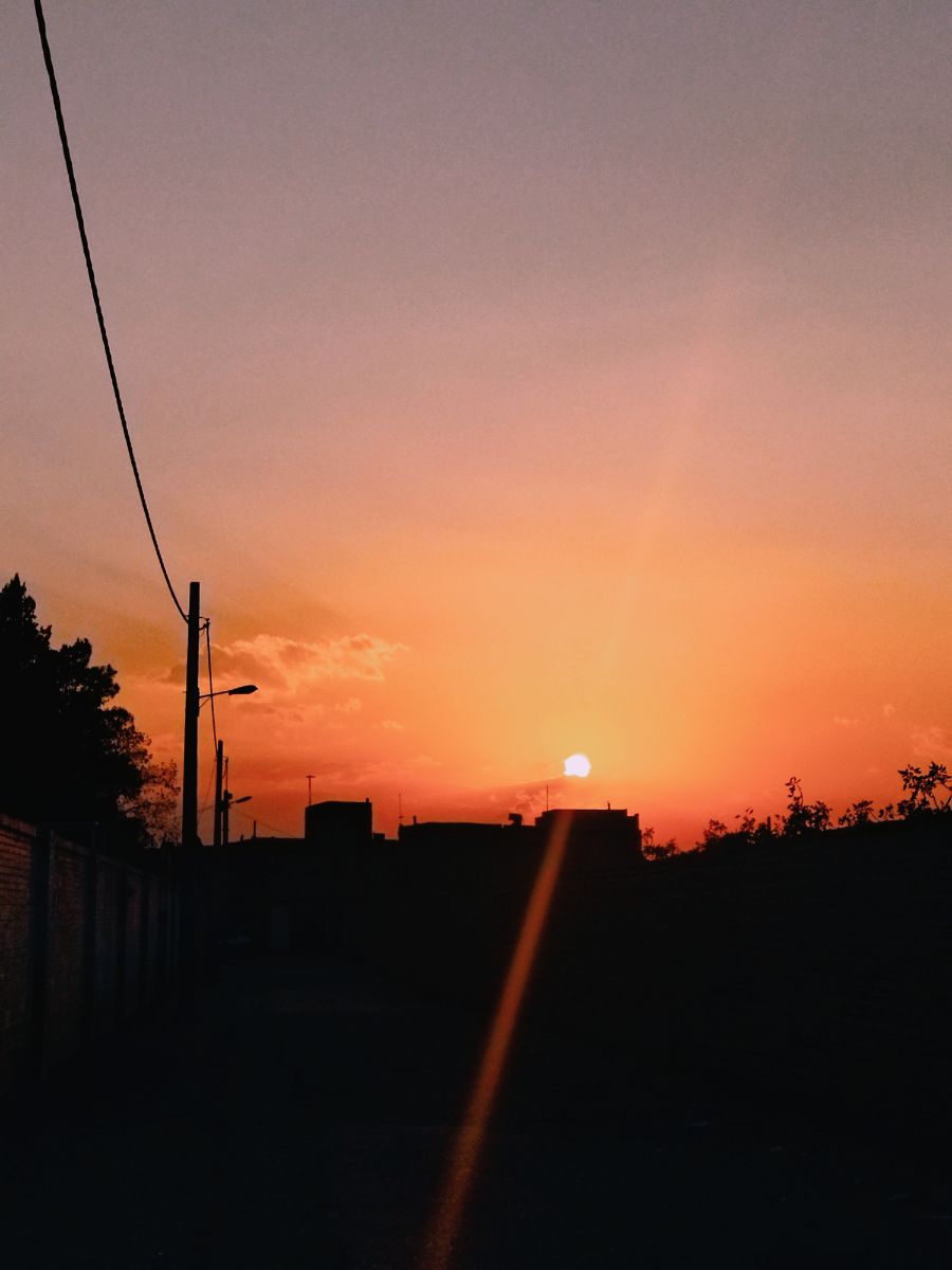 صرفا برای این که بدون عکس نماند :)