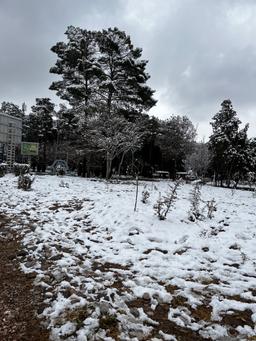 گلزار شهدا، تَسَّلا همیشگی روحم