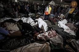 سازمان ملل کیلویی چنده؟ می‌کشن!