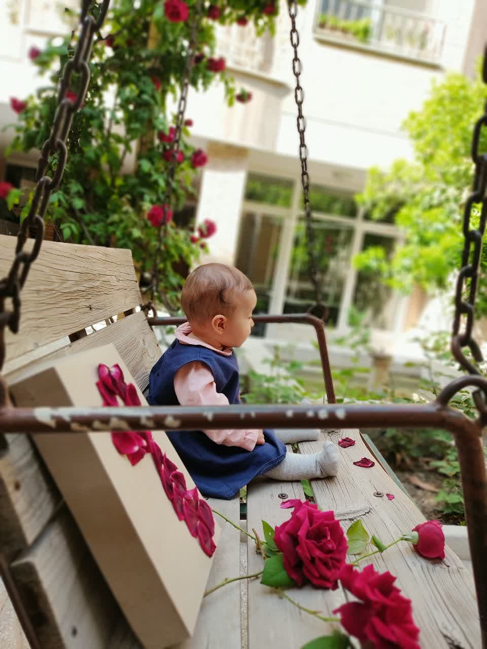 این نخودچی که اینجا می‌بینید، دخترِ خواهرمه که ما بهش میگیم دخترچی، و هنوز یک سالش نشده.