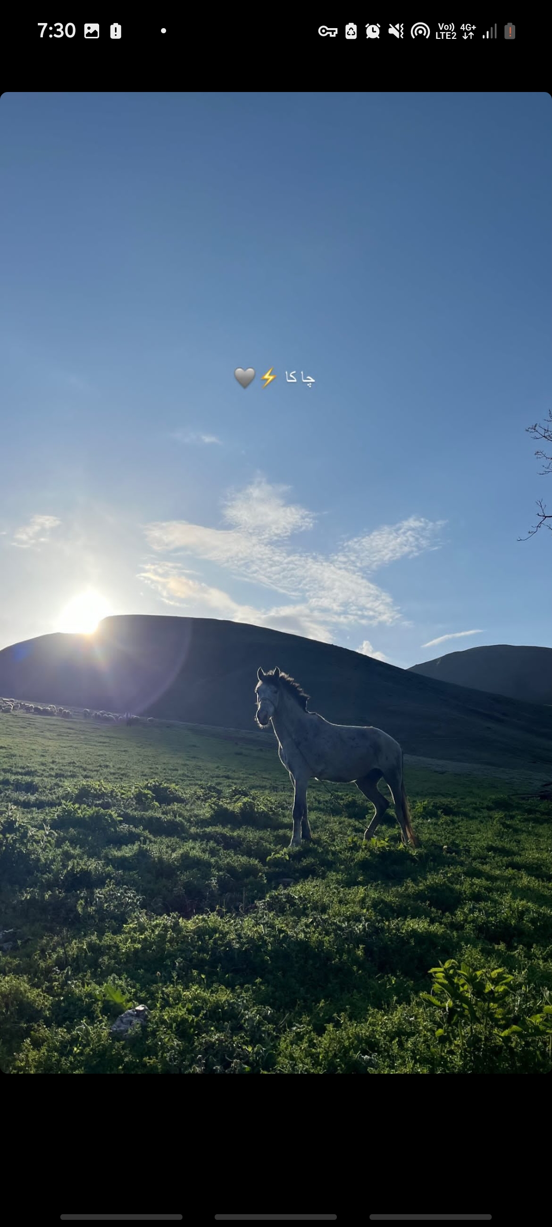 خدایی نمیدونم چه عکسی بزارم،ویرگول هم که فقط اسکرین شات آپلود میکنه