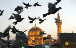 نقاره های بی وقت