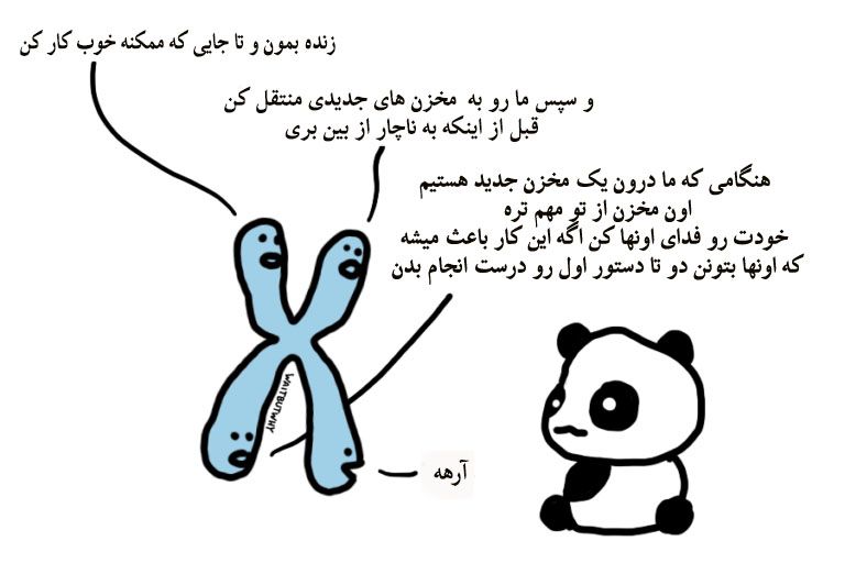 ژنهای پاندا