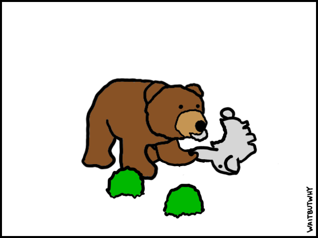 دنیای جانوران