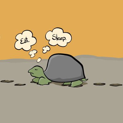 الگوی رفتاری