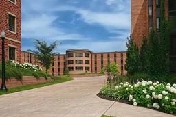 دانشگاه مانت آلیسون