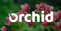 معرفی کامل ارز دیجیتال ارکید | VPN بر بستر بلاکچین