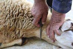 یک یادداشت؟!