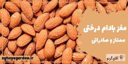 راهنمای خرید بادام درختی ایرانی
