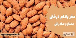 فواید مغز بادام درختی و ارزش غذایی آن