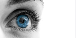 ۱۲+۱ راه افزایش تمرکز که عملکرد شما را بهبود می‌دهد!