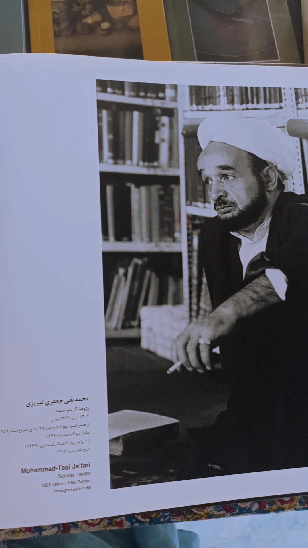 این پارادوکسی که این عکس و چهره برام داشت جالب بود.